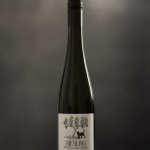 Katharina Krieger - Riesling "Buntsandstein" Katharina Krieger - Riesling "Buntsandstein"